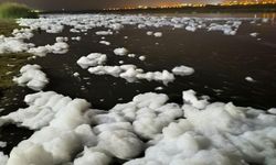 Dicle Nehri'ndeki köpüklenmeye DİSKİ'den açıklama