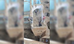 Diyarbakır'da deprem hasarlı bina insan gücüyle yıkılıyor