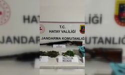 Samandağ’da kenevir ele geçirildi