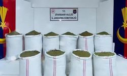 Şanlıurfa dahil 29 ilde yüzlerce şüpheli yakalandı