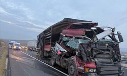 Şanlıurfa'da iki TIR çarpıştı