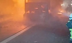 Şanlıurfa'da seyir halindeki beyaz eşya yüklü TIR alev aldı