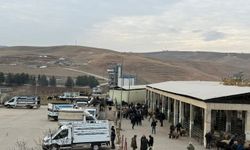 Siirt Hayvan Pazarı yeniden açıldı