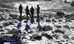 Siirt’te kış şartlarında beslenme desteği: 750 kilo yem bırakıldı