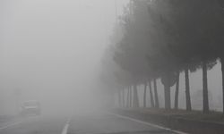 Diyarbakır yoğun sis altında! Sis nedir, neden oluşur?