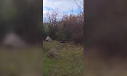 Tokat’ta kayıp Cin Camisi kitabesi bulundu