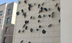 Diyarbakır’daki TOKİ Deprem Konutlarının dış cephelerini hedef tahtası yaptılar