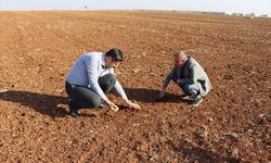 Toprak ve su kaybı gıda güvenliğini tehdit ediyor