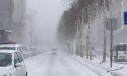 Valilik duyurdu: Bitlis'te okullar tatil edildi