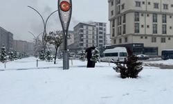 Van, Muş ve Hakkari'de 62 yerleşim yeri ulaşıma kapandı