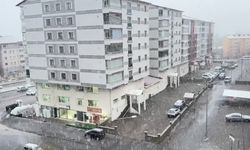 Van ve Bitlis’te kar yağışı etkili oldu