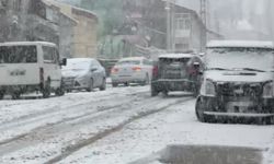 Van’ın Başkale ilçesinde kar yağışı etkili oldu