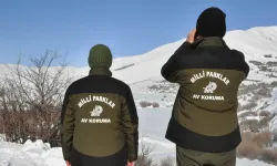 Yasa dışı avcılığa ağır ceza verildi