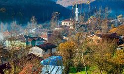 Türkiye'nin en huzurlu 10 şehri: Diyarbakır var mı?