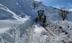 Diyarbakır’ın 15 ilçesinde kırsal yollar ulaşıma açıldı