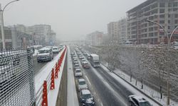 Diyarbakır ve ilçelerinde kar ve don uyarısı