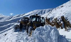 Batman'da 500'ün üzerindeki yerleşim yeri ulaşıma kapandı