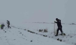 Diyarbakır'da kaybolan kadın halen bulunamadı