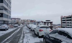 Kulp kar yağışıyla beraber beyaza büründü