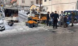 Kulp'ta kar nedeniyle pazar esnafının çoğu tezgah açamadı