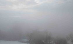 Kulp'ta yoğun sis etkili oldu