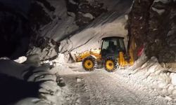 Pervari'de çığ düşen yol ulaşıma açıldı