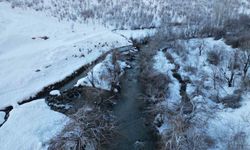 Şırnak'ta soğuk hava nedeniyle dereler buz tuttu