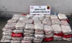 Şırnak'ta geçen yıl çok sayıda narkotik madde ele geçirildi