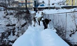 Şırnak'taki tahta köprülerde kar nöbeti