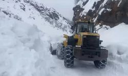 Yayla yolları için seferber oldular