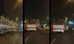 Ağaç yüklü tır Diyarbakır'da trafikte tehlike saçtı