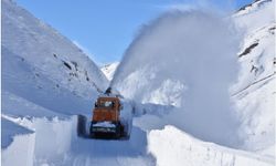 Bitlis’te kırsal kesimlerde hayat durdu