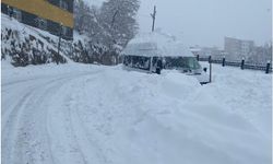 Şırnak'ta karla mücadele çalışmaları devam ediyor