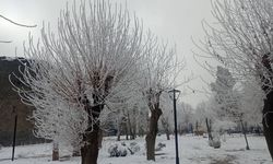 Diyarbakır'da hava durumu: Sis, soğuk ve çığ uyarısı!