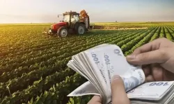 Çiftçilere 255 milyon liralık destek ödemesi bugün hesaplarda