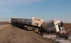 Cizre-Nusaybin yolunda tır kazası: 2 yaralı