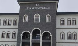 Dicle’de 2025’te 6 bin 519 kök kenevir ele geçirildi