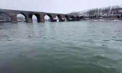 Dicle Nehri'nde su seviyesi yükseldi, Karabaş martıları yeniden görüldü