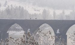 Diyarbakır ayın son hafta sonunu mumla geçirecek! 17 ilçesinden haber var