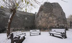 Diyarbakır'a 48 saatlik kar uyarısı! Meteoroloji bu saatlerde uyardı