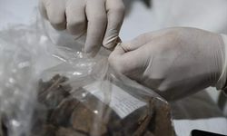 Diyarbakır'da 255 insan iskeleti Mezopotamya ve Kafkas bağlantılı çıktı