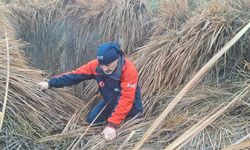 Diyarbakır'da 379 kişi iz takip ve kadavra köpeğiyle kayıp kadını arıyor