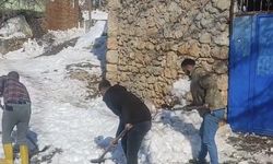 Diyarbakır'da karla kapanan sokakları vatandaşlar açtı
