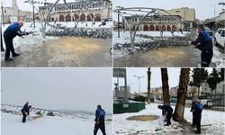 Gaziantep'te sokak hayvanları için yem bırakıldı