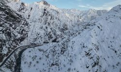 Şırnak'ta etkili olan karla 'Kanlıdere' beyaza büründü