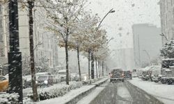 Hakkâri için kuvvetli ve yoğun kar yağışı uyarısı