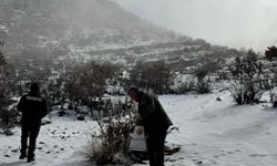 Hasankeyf’te yaban hayvanları için doğaya yem bırakıldı