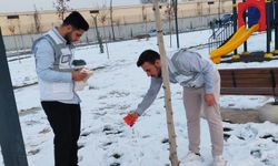 HÜDA PAR Batman Gençlik Kolları sokak hayvanlarını unutmadı