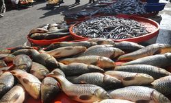 Diyarbakır'da balık tezgâhlarında bereket