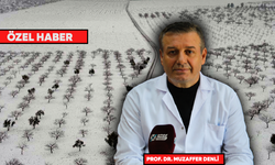 Prof. Dr. Denli: Bu yıl yağan kar tarıma can suyu oldu